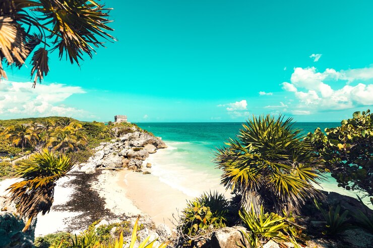 Foto praia com palmeiras tropicais durante o dia