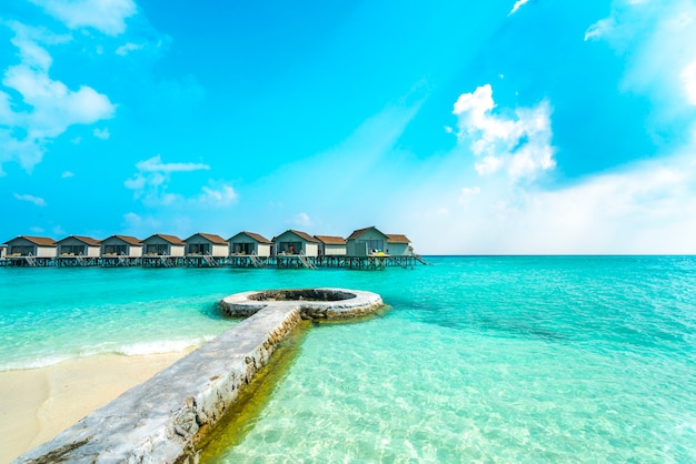 Foto praia, com, transparente, água, em, maldives