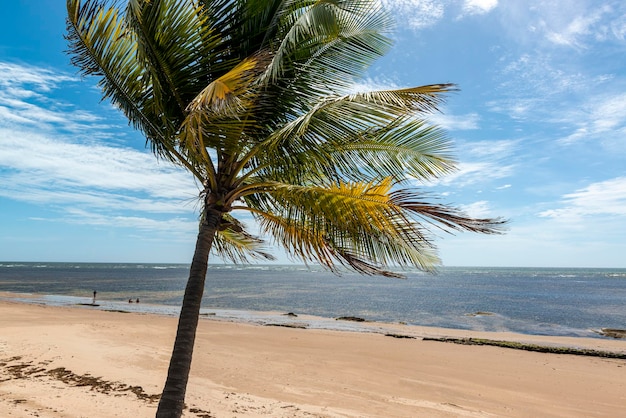 Praia da Espera Itacimirim Bahia Brasil.