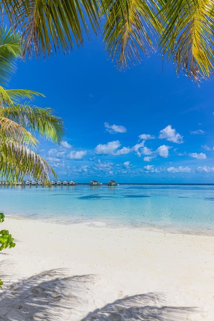 Praia da ilha das Maldivas. Areia branca da paisagem tropical com folhas de palmeira. Férias de luxo