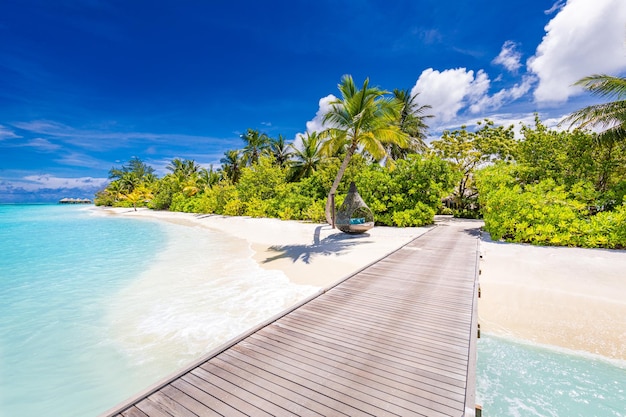 Praia da ilha Maldivas Paisagem tropical de cenário de verão areia branca com liberdade de palmeiras