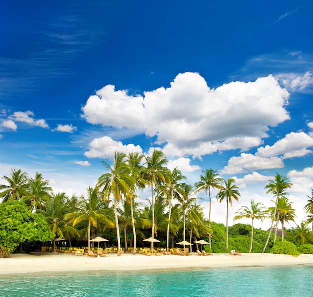 Praia da ilha tropical com céu azul perfeito