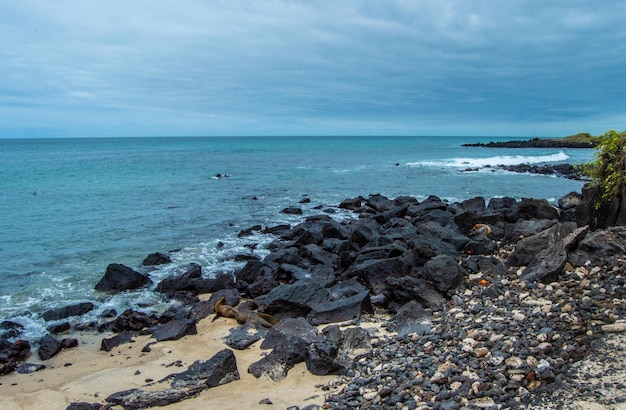 Praia das Galápagos