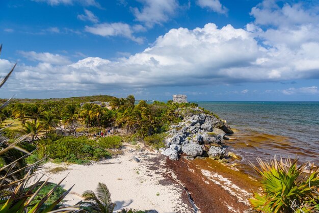 Praia de areia branca com rochas e algas ruínas maias em Tulum Riviera Maya Yucatan Mar do Caribe México