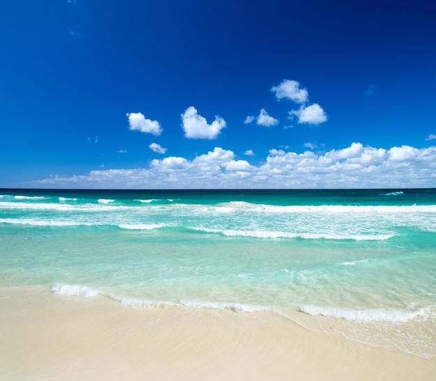 Foto praia de areia branca