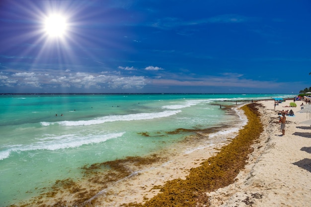 Praia de areia com algas em um dia ensolarado com hotéis em Playa del Carmen México