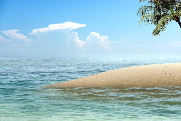 Praia de areia com o oceano azul e o fundo do céu azul