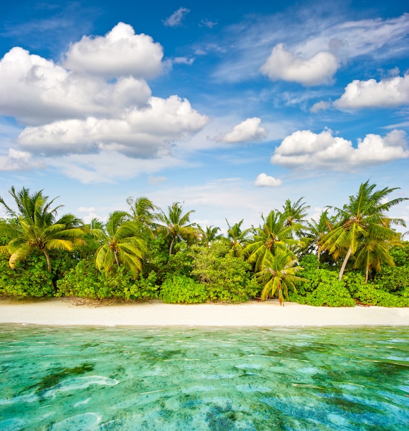 Praia de areia com palmeiras e céu azul nublado. ilha tropical