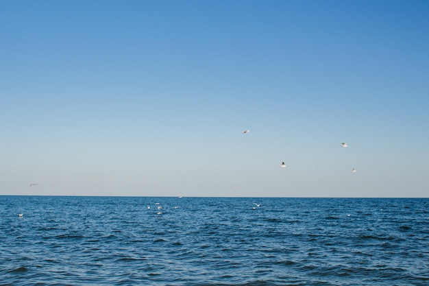 Praia de areia do mar contra o céu azul