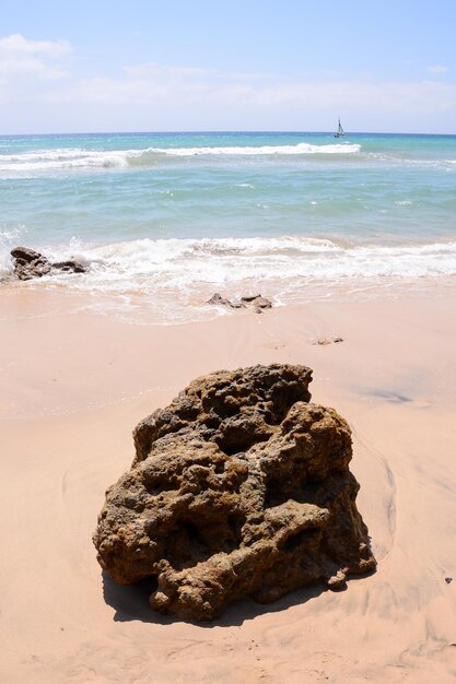 Foto praia de areia do oceano