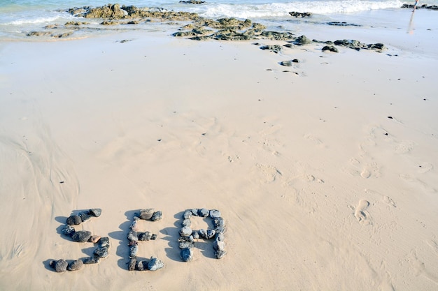 Praia de areia do oceano