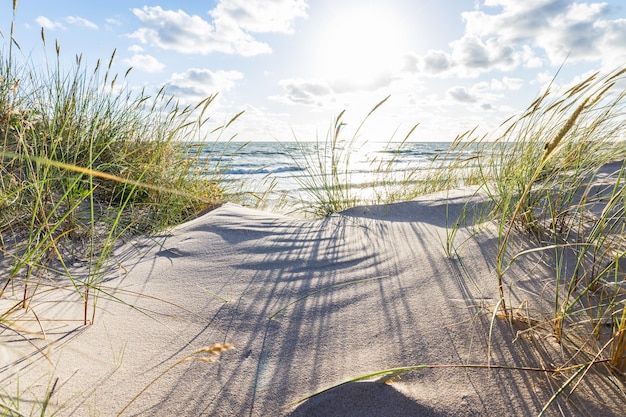 Praia de areia e duna com grama na praia do mar Báltico. bela paisagem do mar