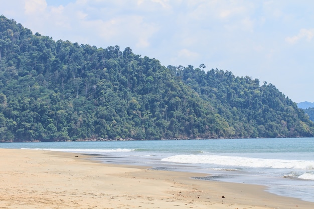 Praia de areia e onda