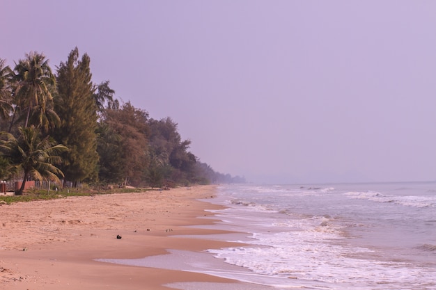 Praia de areia e onda