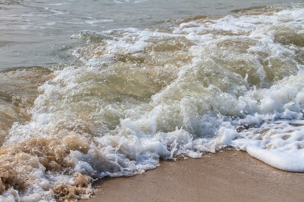 Praia de areia e onda