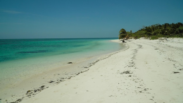 Praia de areia em uma ilha tropical com palmeiras por atol de recife de coral verão e férias de viagem