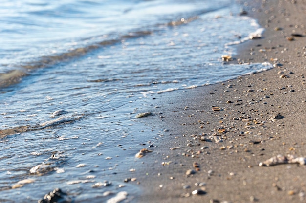 Praia de areia pontilhada com pequenas conchas no contexto da água do mar transparente