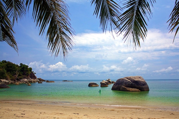 Praia de areia sem pessoas em um dia ensolarado mar azul Céu claro com belas nuvens flutuantes Há várias folhas de coqueiro listradas de cima No mar há grandes rochas