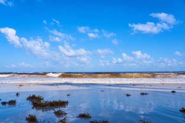 Foto praia de areia tropical com águas claras como pano de fundo