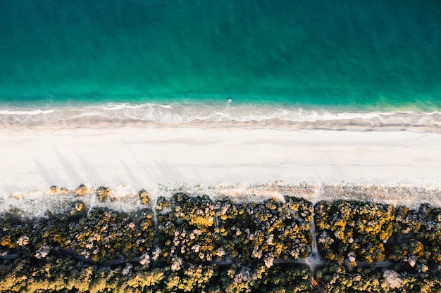 Praia de areia tropical