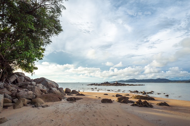 Praia de areia tropical