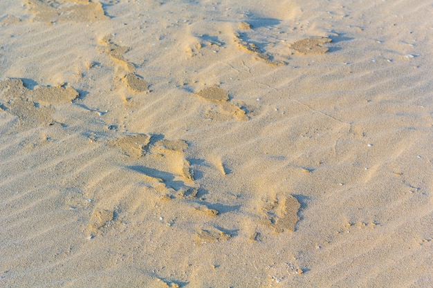 Praia de areia