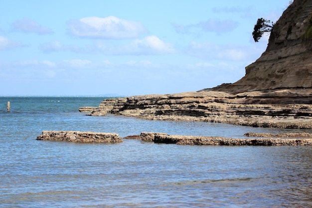 praia de Auckland Nova Zelândia