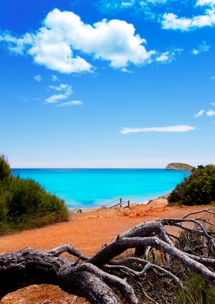 Foto praia de cala nova na ilha de ibiza com água azul-turquesa