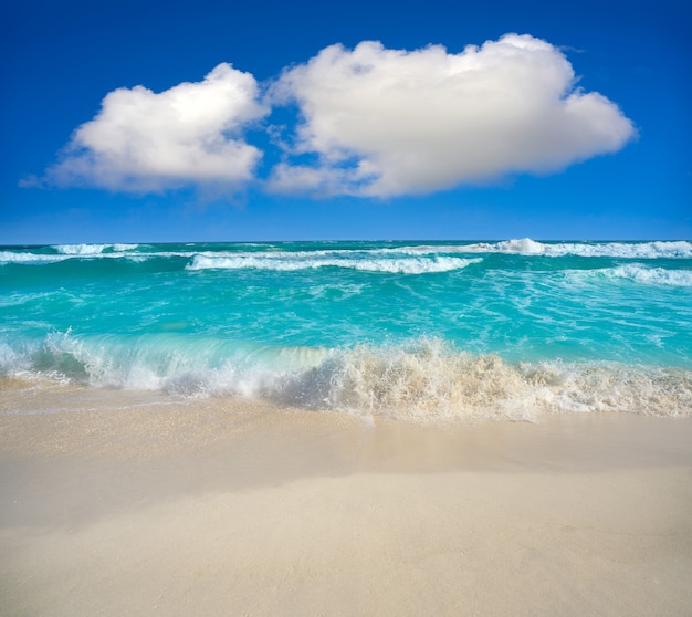 Praia de Cancun Delfines na zona hoteleira do México