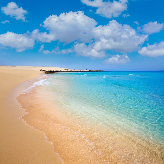 Praia de Corralejo Fuerteventura nas Ilhas Canárias