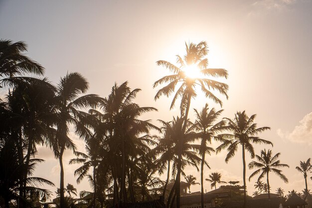 Foto praia de cumbuco lugar famoso perto de fortaleza ceara brasil praia cumbuco cheia de kitesurfistas lugares mais populares para kitesurfing no brasil os ventos são bons durante todo o ano