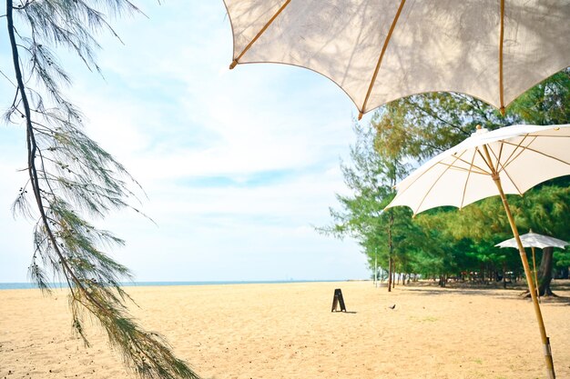 Foto praia de laem charoen em rayongpine treeférias de verão e conceito de viagem pela natureza