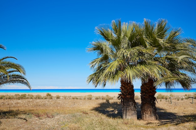 Praia de las marinas em denia no alicante espanha