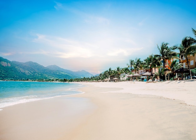 Foto praia de mar com fundo de folhas de palmeira