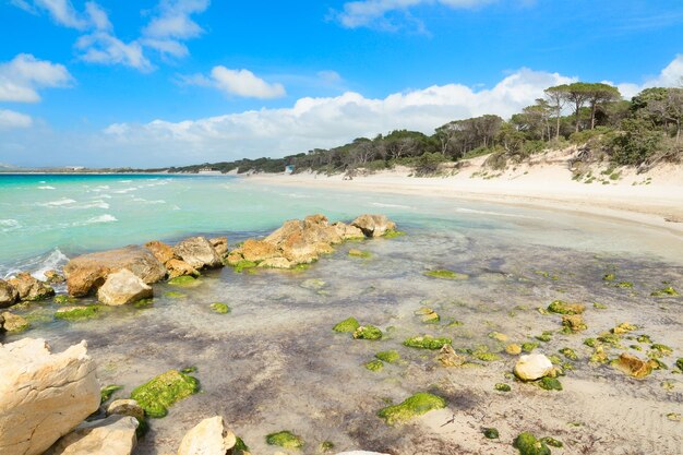 Praia de Maria Pia em um dia claro Filmado na Sardenha Itália