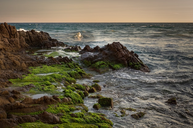 Praia de monsul. são josé. parque natural de cabo de gata. espanha.