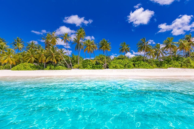 Praia de natureza incrível com céu de lagoa de palmeiras. Fundo de férias de viagem tropical de férias de verão