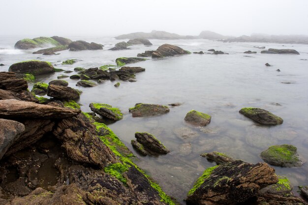 Praia de nevoeiro com pedras e névoa