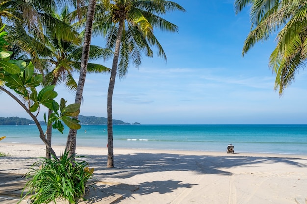 Praia de patong de Phuket Praia de verão com palmeiras em torno de Patong praia Ilha de Phuket, Tailândia, bela praia tropical com fundo de céu azul na temporada de verão Copie o espaço.