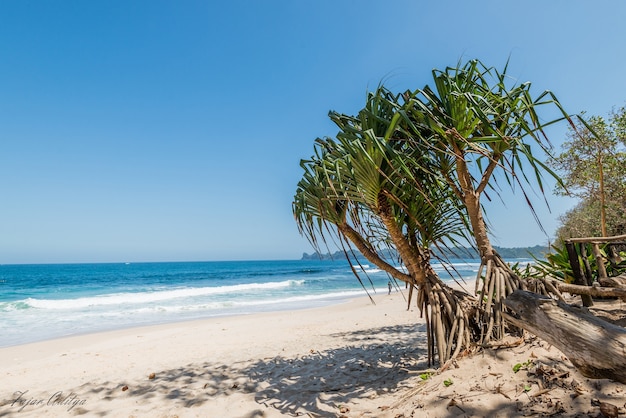 Foto praia de sendiki