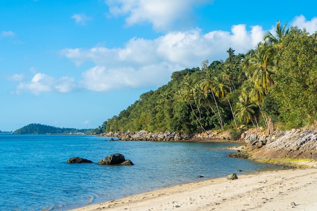 Praia de um paraíso ilha tropical deserta. Saliência das palmeiras na praia. Areia Branca. Água azul do oceano. Descanse longe das pessoas