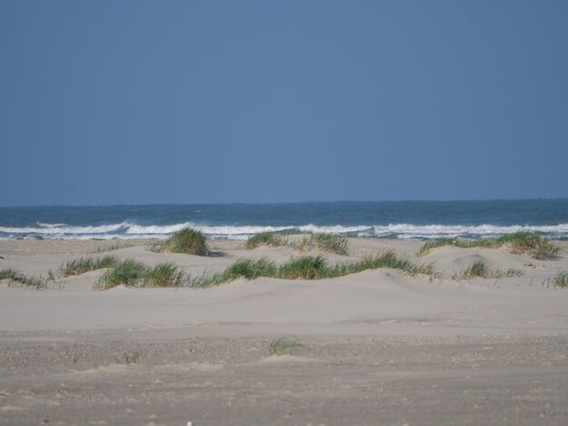 Praia de verão