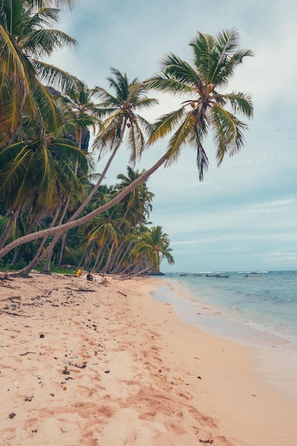 Foto praia do paraíso nas caraíbas