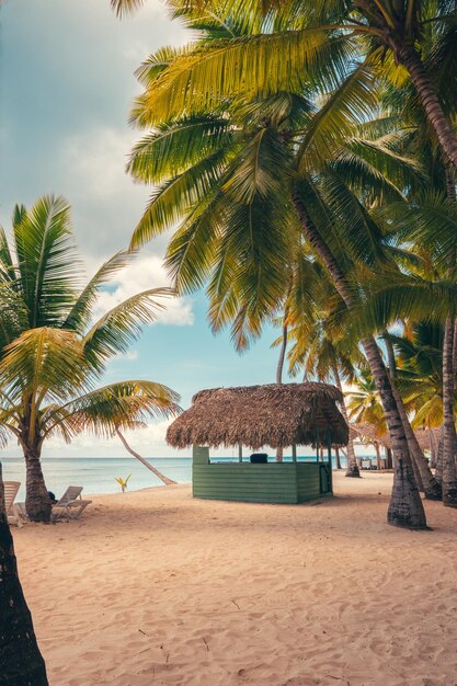 Foto praia do paraíso nas caraíbas