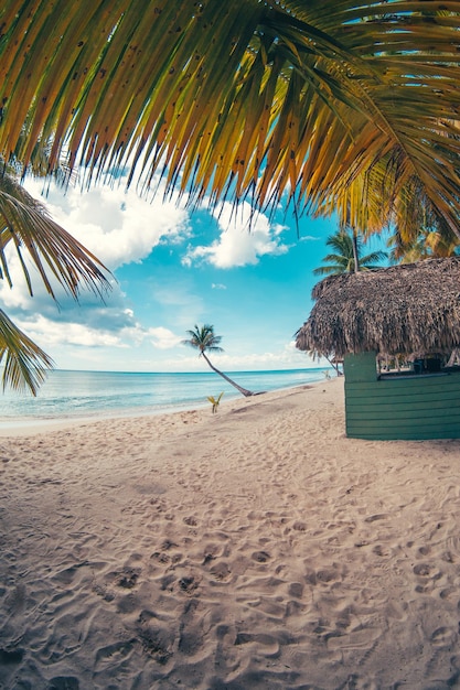 Foto praia do paraíso nas caraíbas