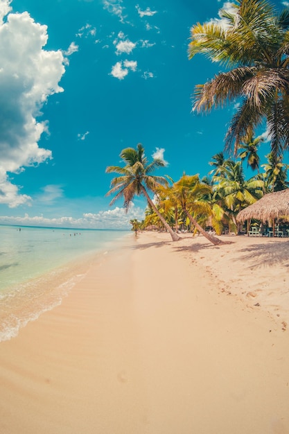 Foto praia do paraíso nas caraíbas