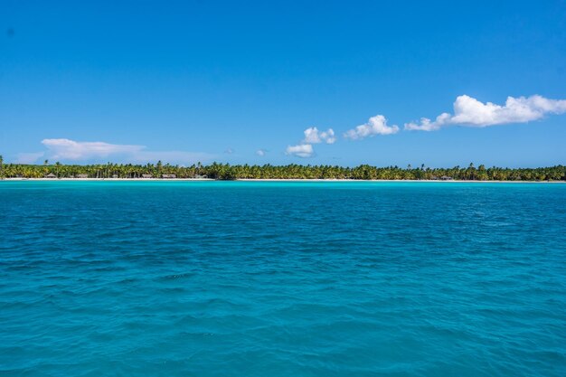 Foto praia do paraíso no caribe com casa de madeira no mundo tropical na república dominicana