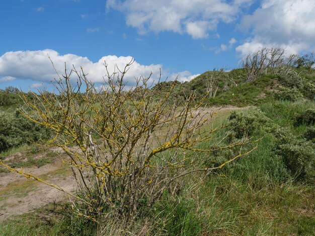 Praia e dunas na ilha de Baltrum