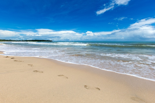 Praia e lindo mar tropical.