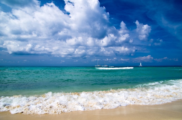 Praia e lindo mar tropical